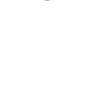 lsff_white-1.png